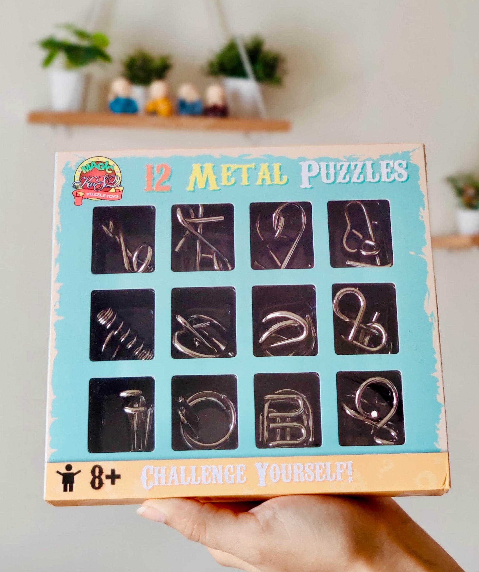 Brain Teaser Metal Puzzle Set of 12 Pieces