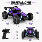 Remote Control Car, Purple, Off-Road Buggy, LED Lights, 2.4GHz
