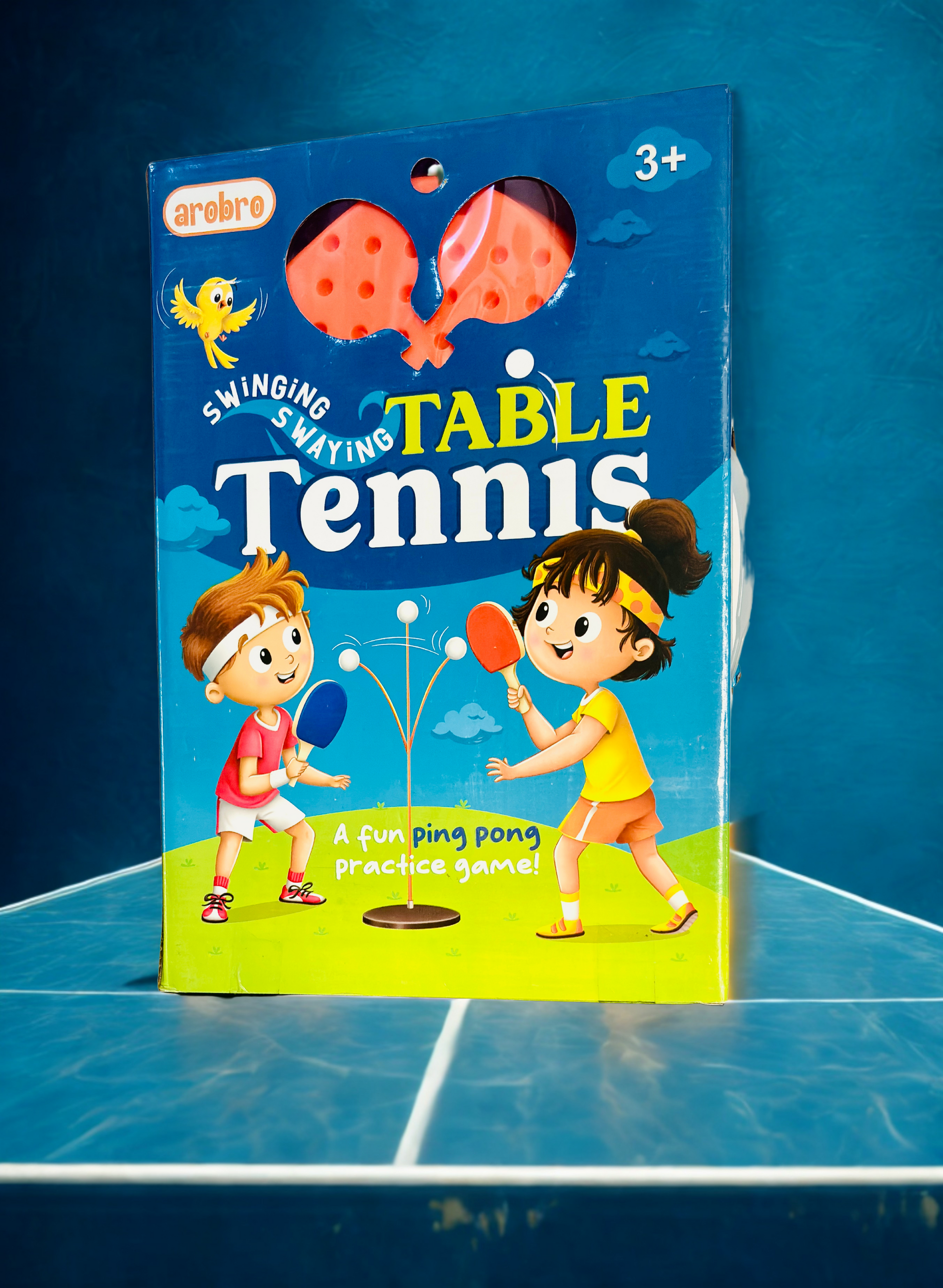 Indoor Table Tennis